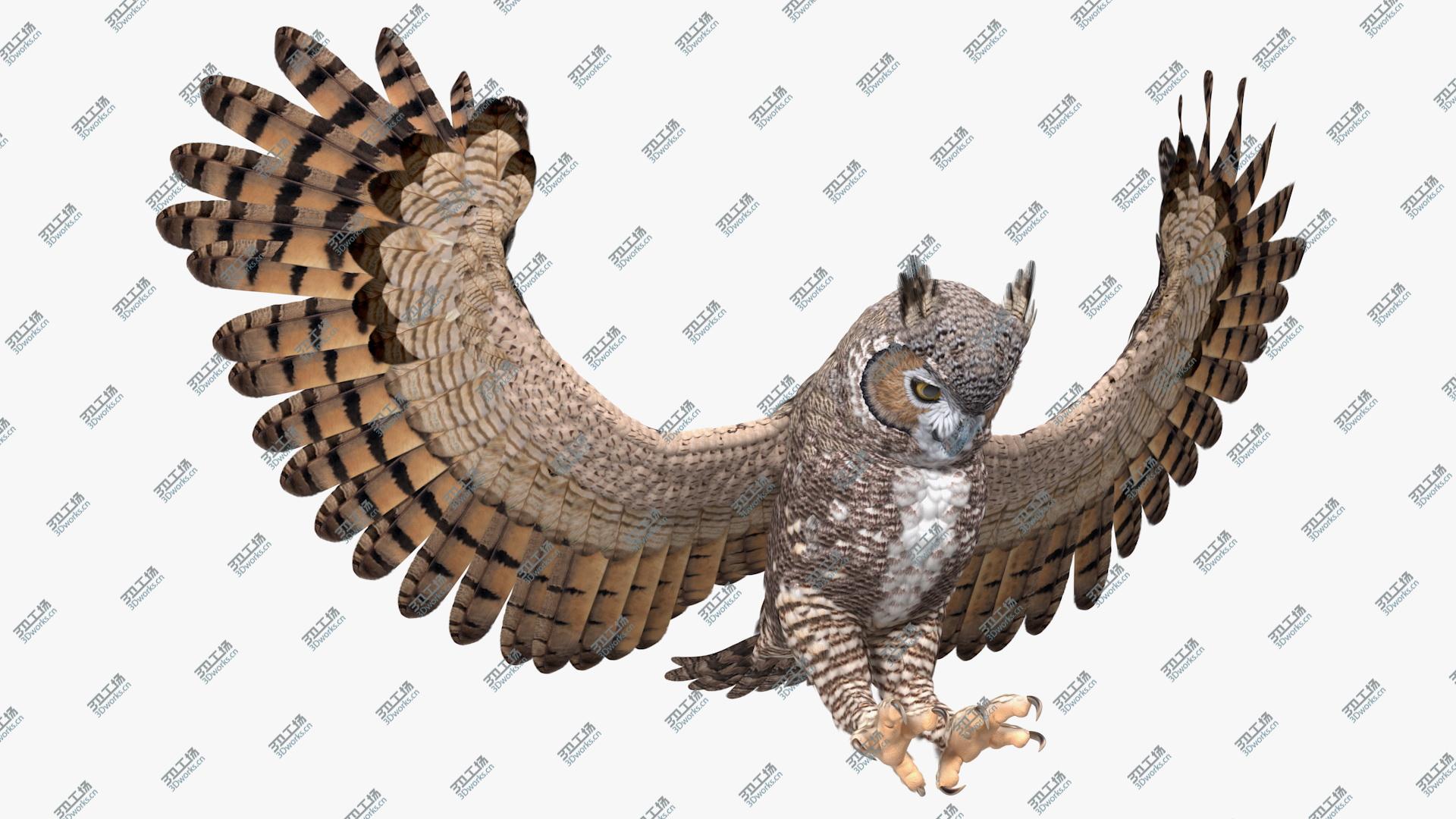 images/goods_img/2021040164/Great Horned Owl Attacking Pose 3D model/1.jpg